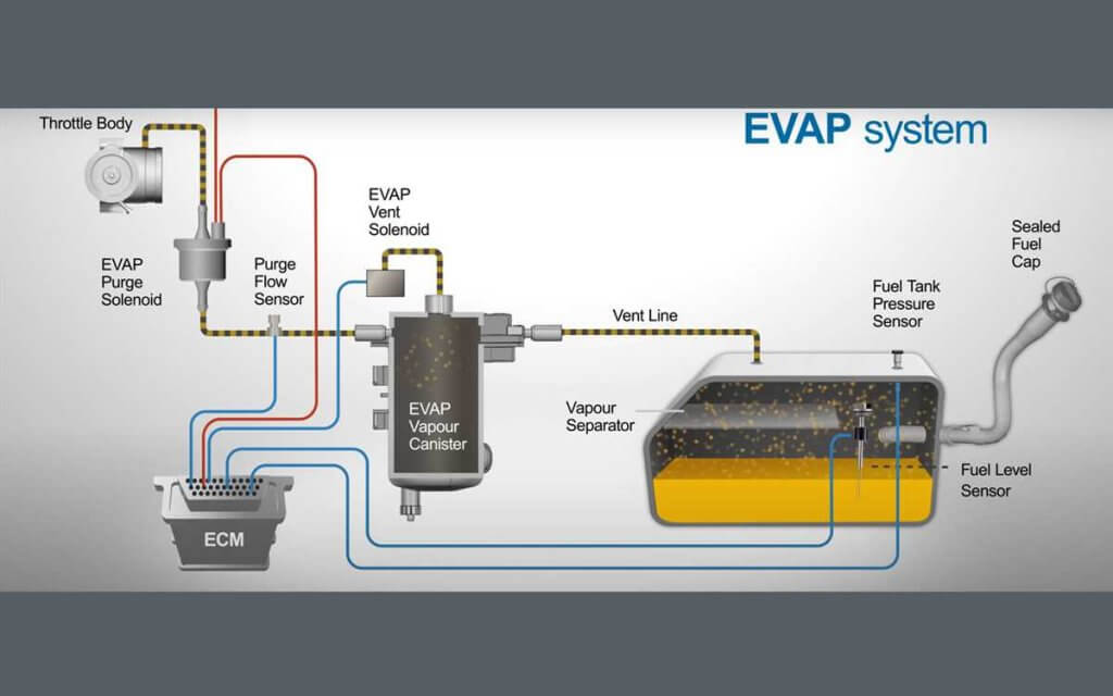 EVAP system EVAP
