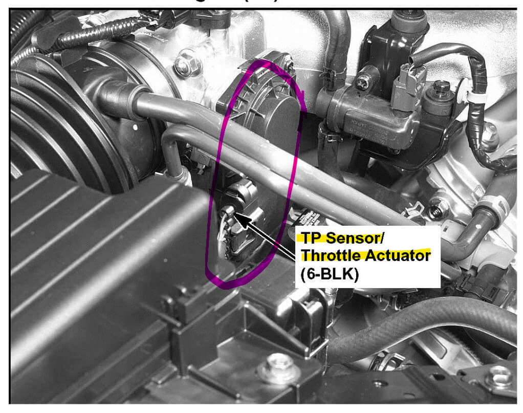 TP Sensor